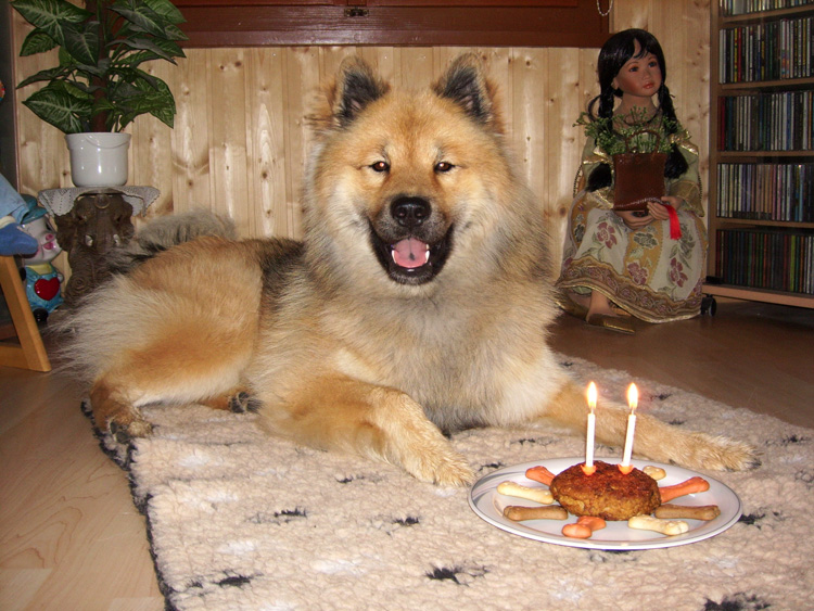 06_17_geburi.jpg - Happy Birthday zum 2. Geburtstag