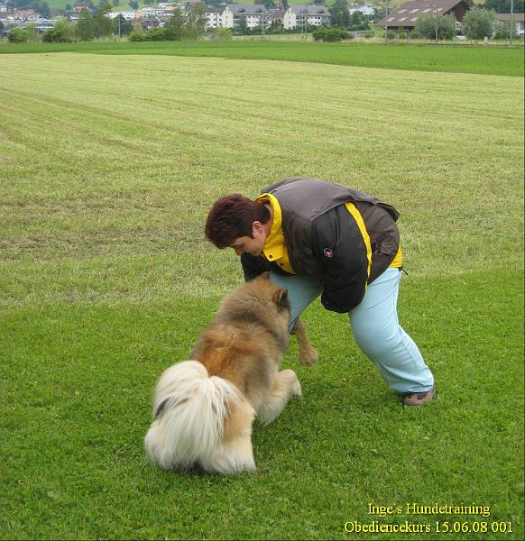 2008_11_hundekurs.jpg - Neben dem Training soll auch Spiel Platz haben