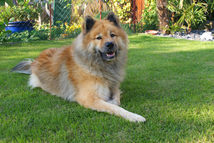 2009_11_garten.jpg
