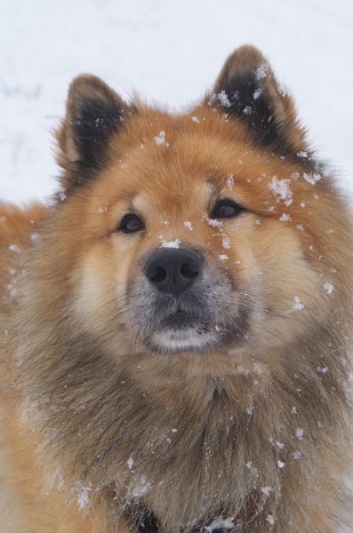 2012_7_portrait.jpg