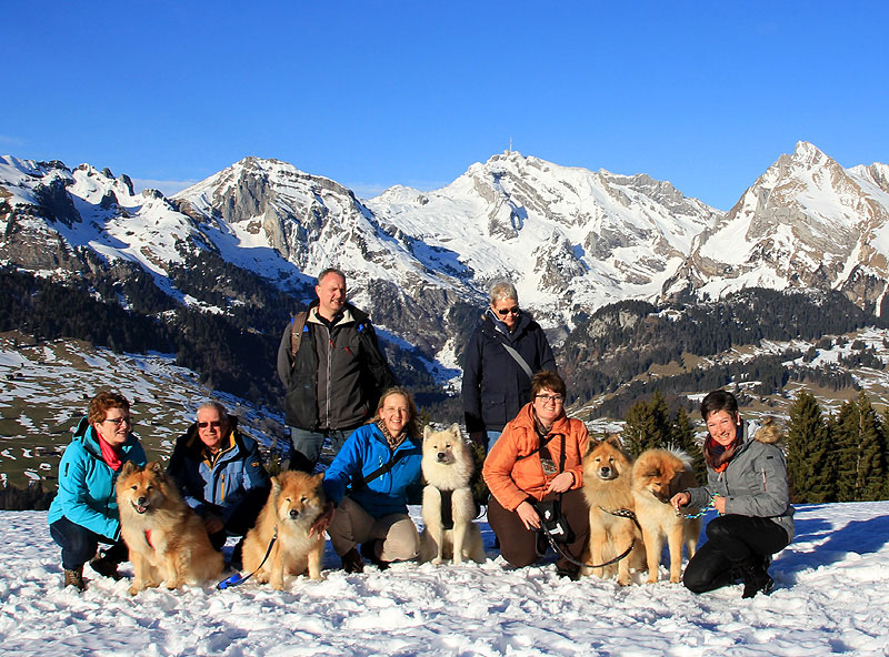 2016_16_gruppe.jpg - Gruppenfoto im Februar 2016