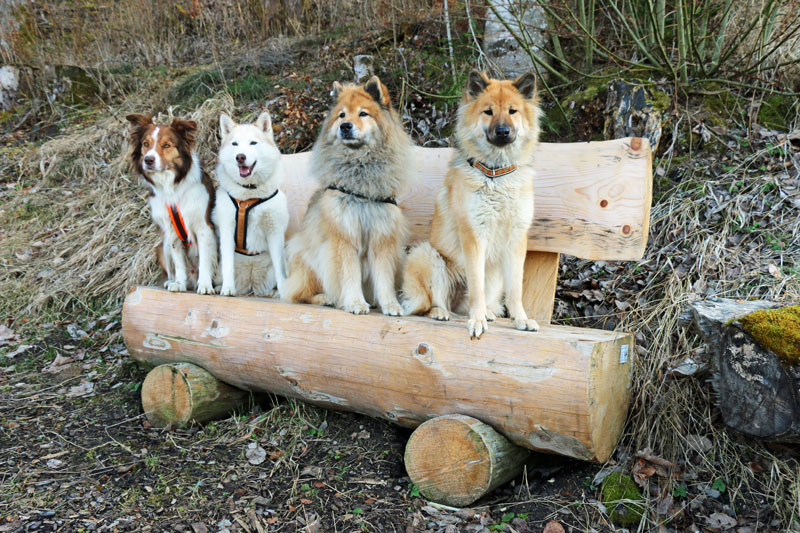 2017_18_bankfreunde.jpg - Ari, Kaja, Legro und Okelani