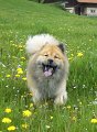 2008_6_smile
