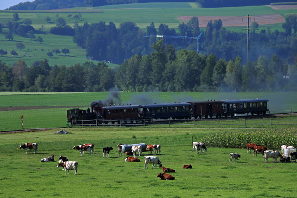 IMG_0561.jpg - Wie in alten Zeiten - die antike Dampflok mit alten Bahnwagen