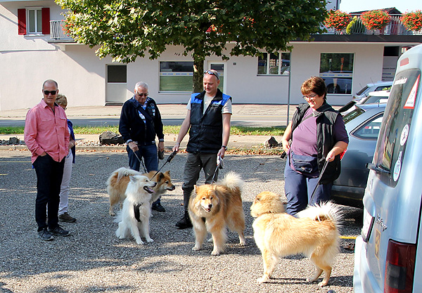 IMG_2659.Begruessung.b.kl.jpg - Wiedersehensfreude auch unter den Vierbeinern