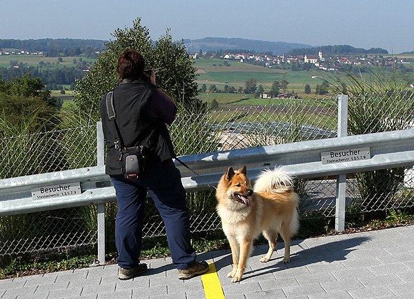 IMG_2681.Okelani.Papparazzi.b.kl.jpg - Frauchen fotografiert die Landschaft - Okelani schaut lieber was hinter ihr so läuft