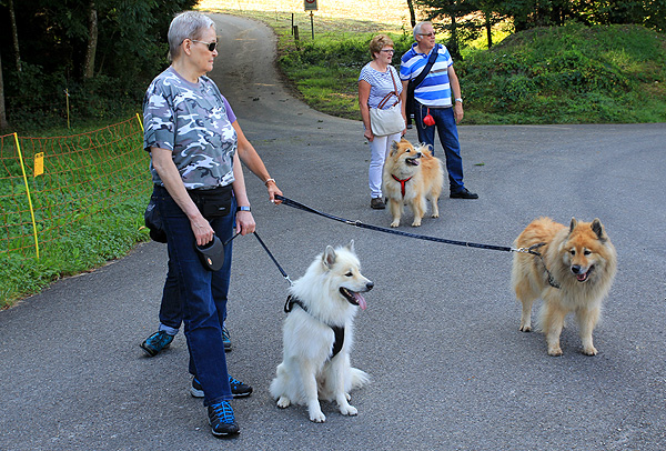 IMG_2704.Gwen.Legro.Lasca.b.kl.jpg - Gwen (vorne links), Legro (vorne rechts) und Lasca (hinten)