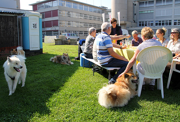 IMG_3019.Apero.b.kl.jpg - Gemütlich auf dem Hundeplatz eingerichtet