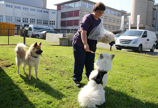 IMG_3060.oh.wie.lecker.b.kl.jpg - Auch die Hunde kriegen Knabbereien