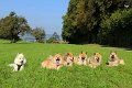 IMG_0409