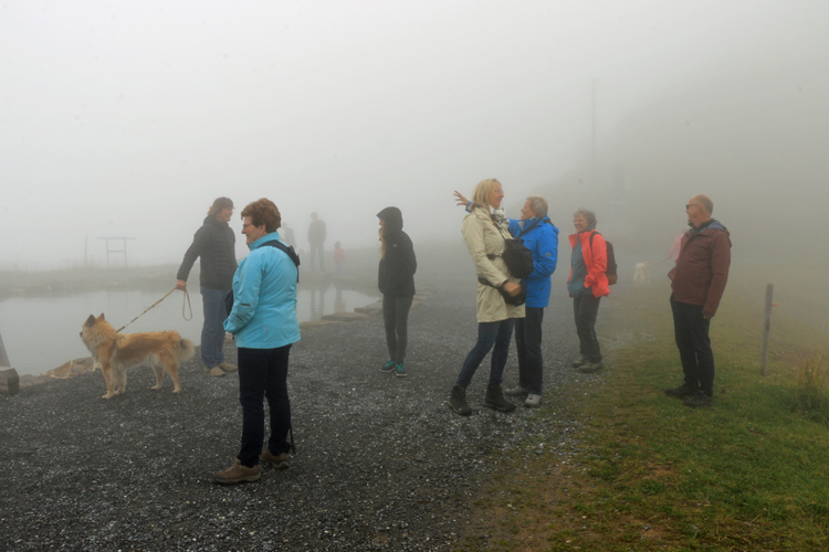 IMG_9020.jpg - Auf dem Maschengamm erwartete uns leider sturmsdicker Nebel