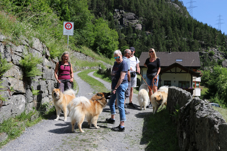 bIMG_3440.jpg - Erst Juni - aber schon hochsommerliche 30 Grad an diesem Tag...