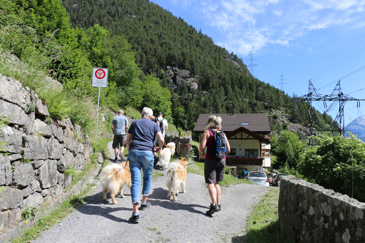 cIMG_3441.jpg - Es waren so einige Höhenmeter zurückzulegen und die Sonne brannte schon am Vormittag vom Himmel