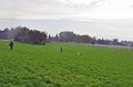 4_faehrten