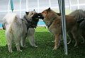 IMG_8563
