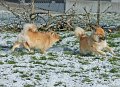 IMG_6369