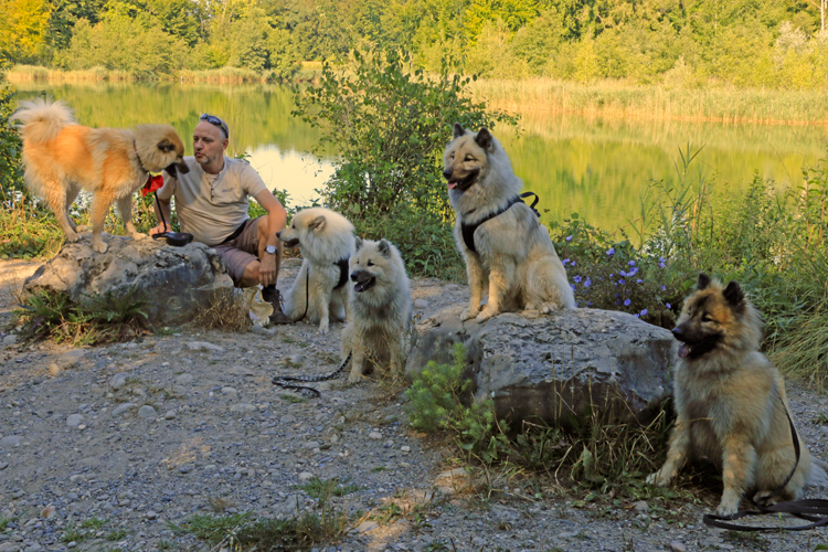 IMG_8684.jpg - Nein, der zweite von links ist kein Eurasier, sondern ein Holländer! 