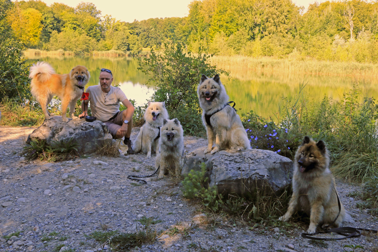 IMG_8685.jpg - Okelani zeigt mal wieder den "Kein-Ohr-Eurasier"...