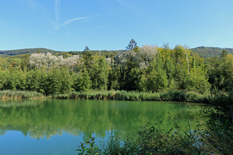 IMG_8692.jpg - Eine wirklich idyllische Landschaft