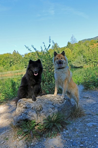 IMG_8706.jpg - Finn und Okelani gehören seit Ende Februar zusammen