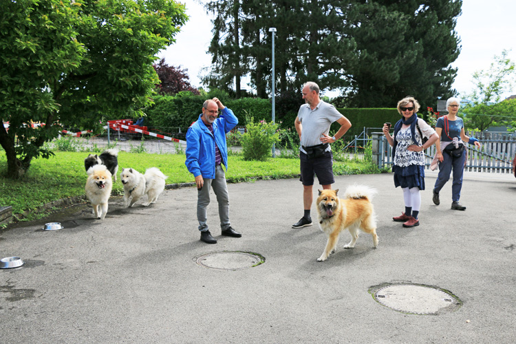 IMG_2922.jpg - Die Hunde waren derweil beschäftigt mit Schnüffeln, Begrüssen, Spielen und Auskundschaften.