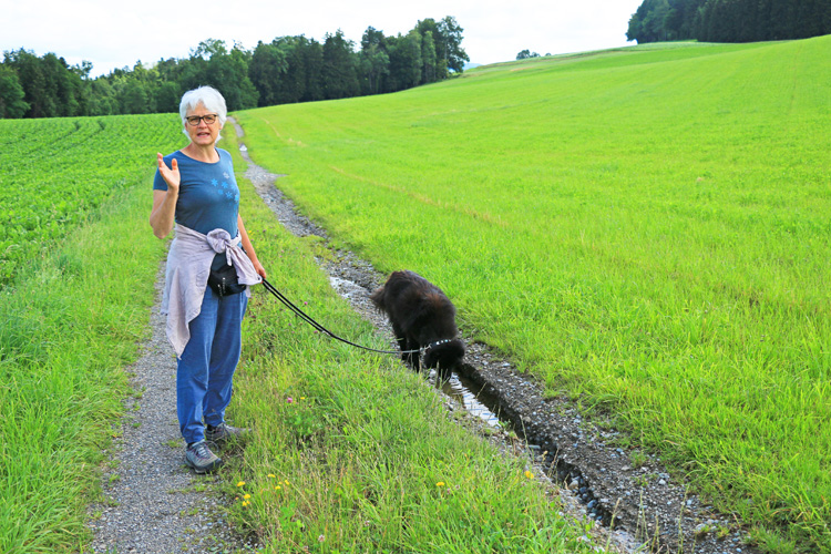 IMG_3052.jpg - Finn war ausnahmsweise nicht mit Frauchen Bea unterwegs, sondern mit "Tante" Bea (Frauchen von Okelani's Schwester Ora).