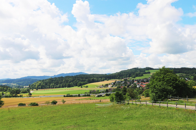 IMG_3060.jpg - Wunderbare Aussicht