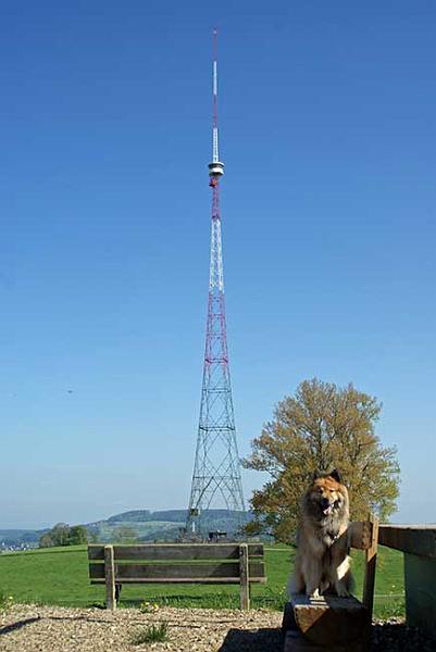 vor_sender.jpg - Legro posiert vor dem hohen Sendeturm