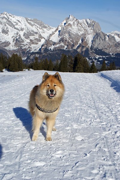 51_legro_kulisse.jpg - Es war ein prachtvoller Tag auf der Alp!
