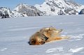 38_schneebad