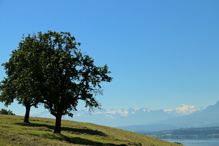 IMG_7693.jpg - Die Berge im Hintergrund wirken fast wie eine Fata Morgana