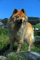 IMG_9870a