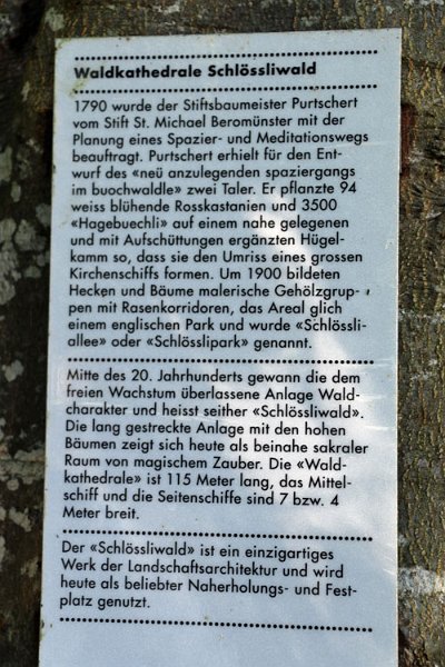 IMG_0437.jpg - Eine besondere Kathedrale