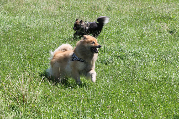 IMG_0500.jpg