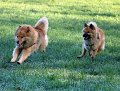 IMG_5459