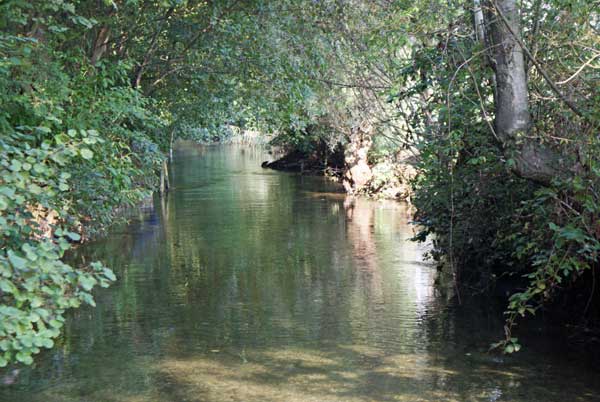 10_sure.jpg - Idyllischer Bachlauf