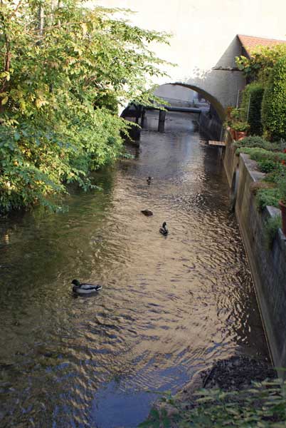 2_sure.jpg - ...auch mit Enten bevölkert ist