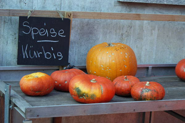 9_kuerbisse.jpg - Nicht nur zu Helloween toll, sondern auch im Teller als feine Suppe oder leckeres Gemüse
