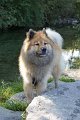 15_legro_schauen