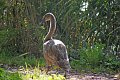22_jungschwan