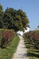 50_rosenweg