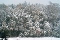 DSC06630