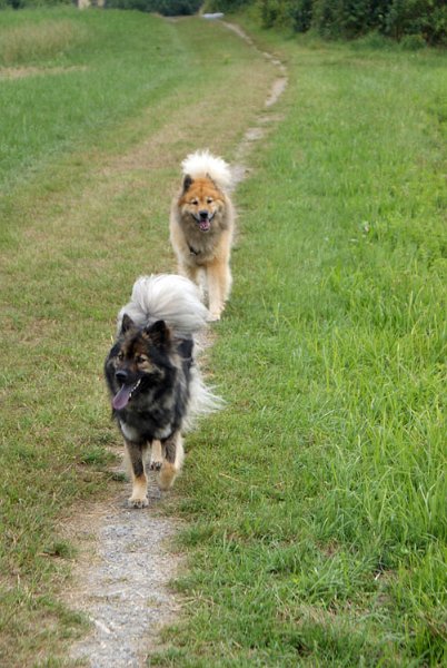 24_duo.jpg - Wir kommen!