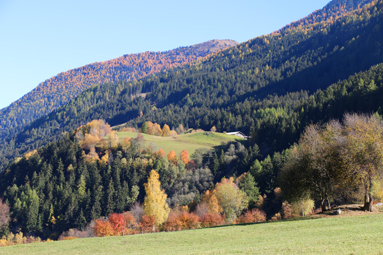 IMG_5065.jpg - Der Herbst treibt es bunt!