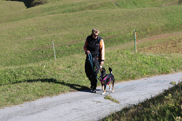 IMG_5247.jpg - Die Hundeferien waren verbunden mit dem Seminar "Umgang mit Jagdverhalten" von Heike Westedt. Jeden Tag gab es Theorie und Praxis.