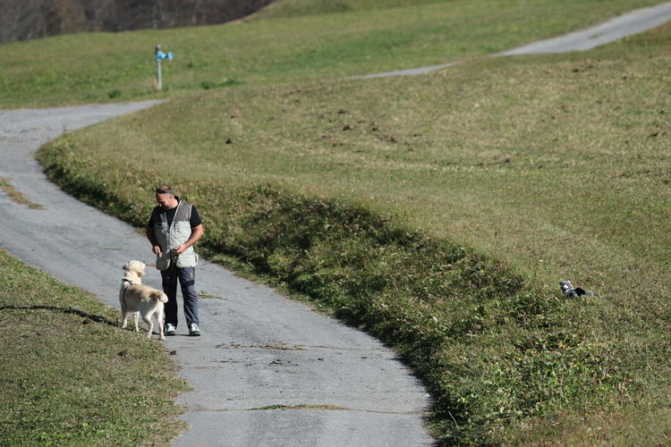 IMG_5456.jpg - Und schon ist die Katze nicht mehr so wichtig...