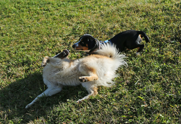 IMG_5827.jpg - Okelani flirtet mit Arko und ihm fallen fast die Augen raus...