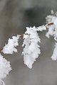 IMG_1832