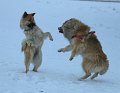 IMG_1872