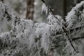 IMG_2073